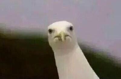 tattan90's tweet photo. People popping up on ye feed like waaaaa!!! 😒 http://t.co/egONJM09l1