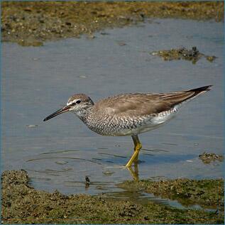 陵駕 Rooug19 Twitter