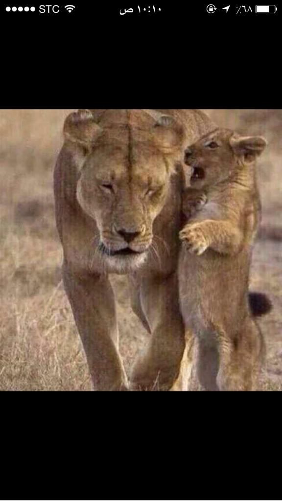 100_bas's tweet image. 