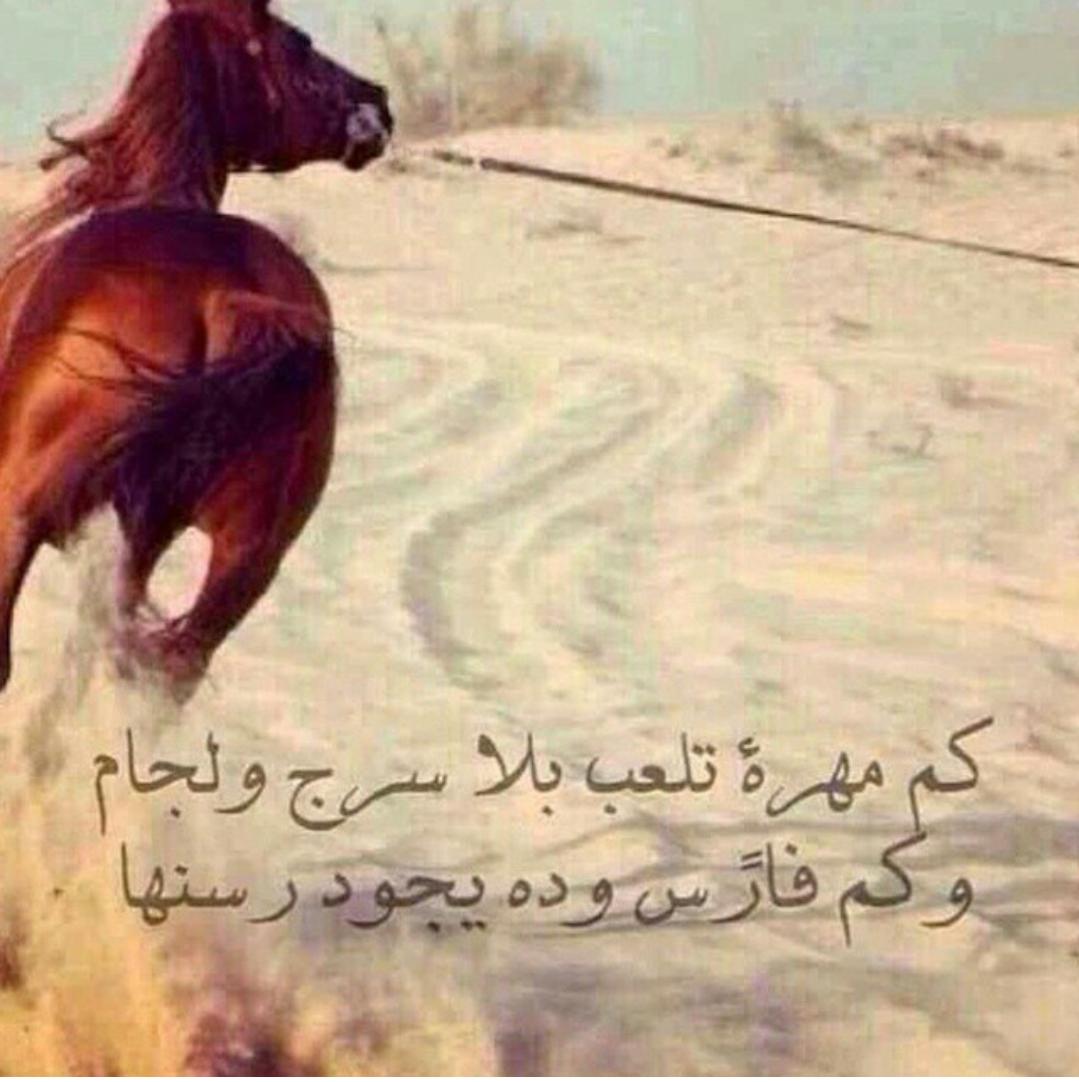 krkrr0 tweet picture
