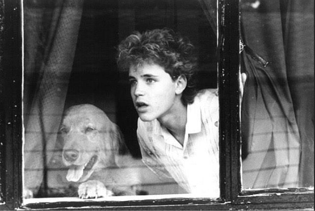 Happy birthday to the beautiful Corey Haim. Hollywood was cruel to you. I miss you. X  