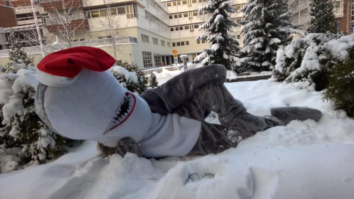 msdevshark's tweet image. Happy Holidays everyone! #MSjoulu