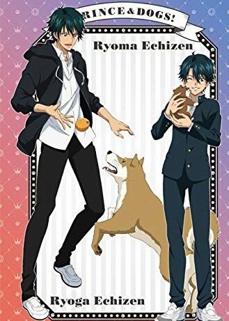 越前リョーマ生誕前夜祭 Twitter Search Twitter