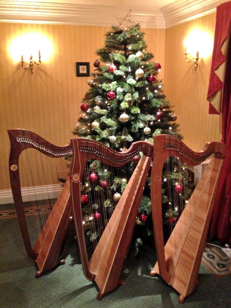 Killarney Harps tweet media