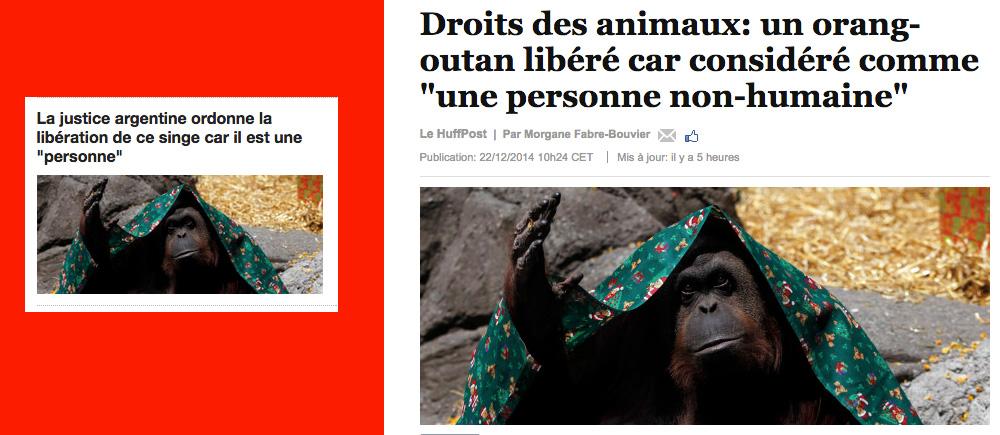 Elsa Secco tweet media