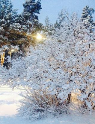 innorange's tweet photo. Merry Christmas and Prosperous New Year 2015 to all of ytou! http://t.co/hEGwvlriGk