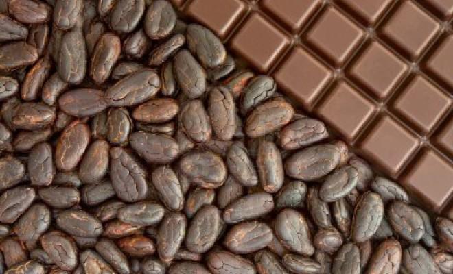 Choco_Sakina's tweet photo. “@sabiastuque_: ¿Sabías que el cacao previene el deterioro de la memoria? #SabíasQue http://t.co/ePJbmxxZeP http://t.co/LizXSDZgLb”
