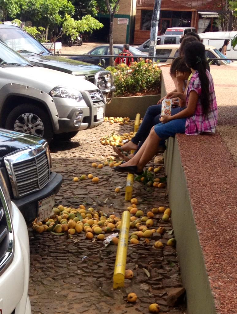 ttevicentejara's tweet photo. Así describo a mi país, alfombra de frutas en el piso, pero como sobra la plata, la gente compra jugos envasados. http://t.co/2NofbUaT9l