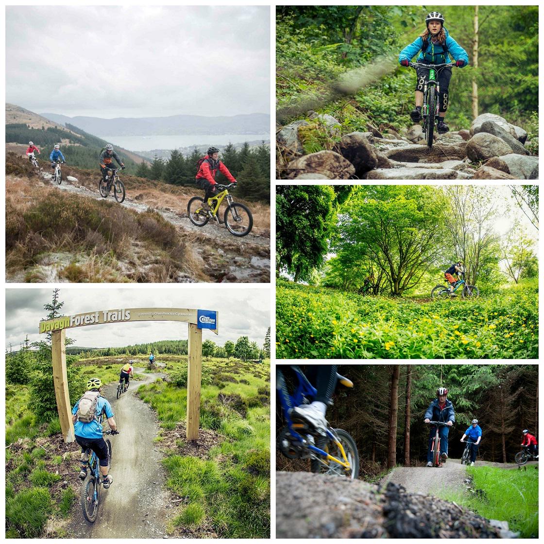 ChrisDoherty80's tweet photo. “@DiscoverNI: 5 world-class mountain bike trails in #NorthernIreland: http://t.co/cP9sxp3KF6 http://t.co/VqdsgN8AqL” @davidjoz09