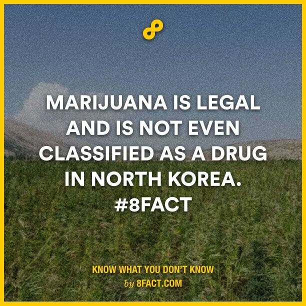 JustHanginn's tweet photo. @8factapp some #unknow #facts  about #NorthKorea 😮 http://t.co/ymGyIJcY6N