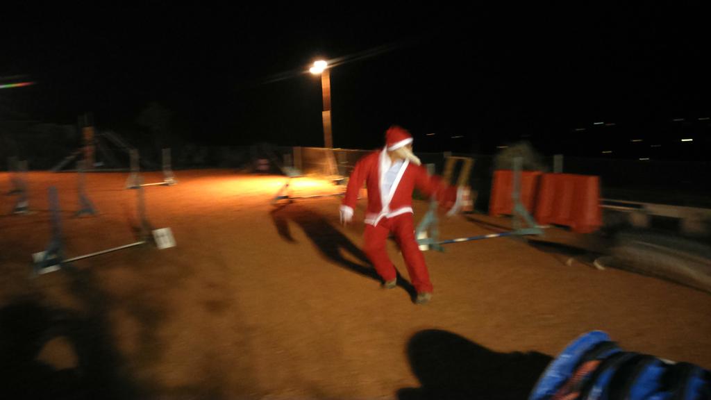 Terradegossos's tweet photo. Mirar quien a venido a Terra de gossos para practicar un poco de agility. http://t.co/kCqjjqdbv9