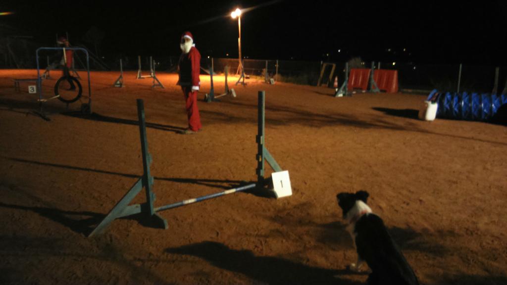 Terradegossos's tweet photo. Mirar quien a venido a Terra de gossos para practicar un poco de agility. http://t.co/kCqjjqdbv9