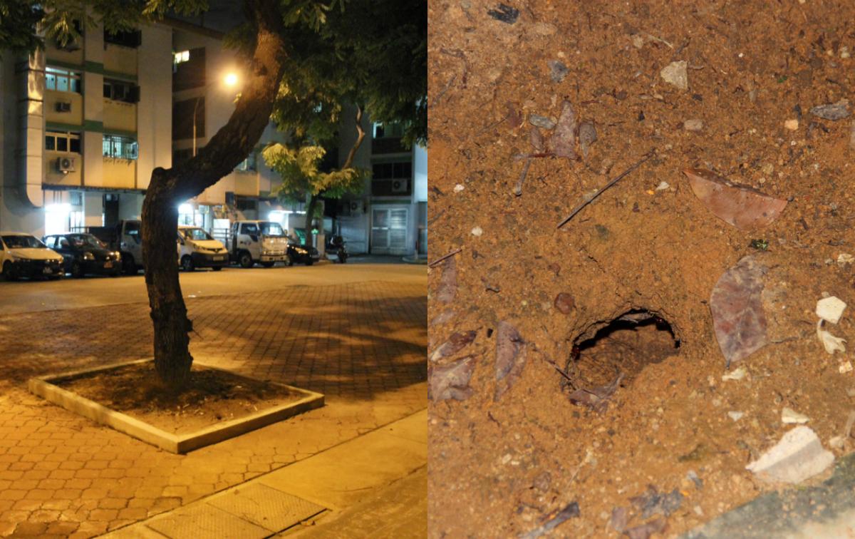 Embedded image permalink