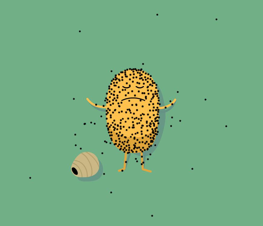 GRCEcoStore's tweet image. Wasp nest volleyball isn't for me: appstore.com/dumbwaystodie