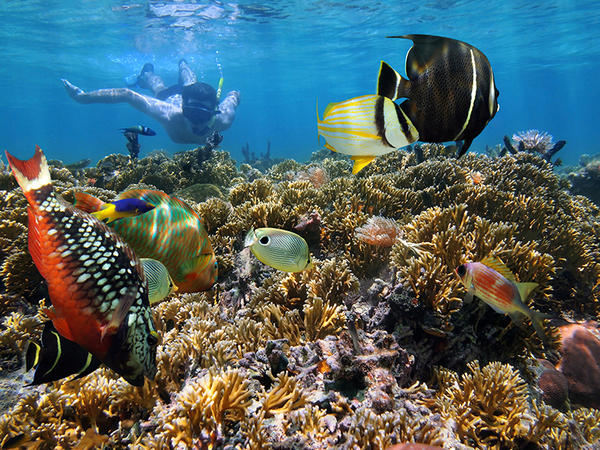 Aeroplan's tweet photo. Bid now on a luxurious journey through the beautiful aquascapes of #CostaRica w/ #dExclusives. http://t.co/Halm9u3HFP http://t.co/peeFNhXMYg