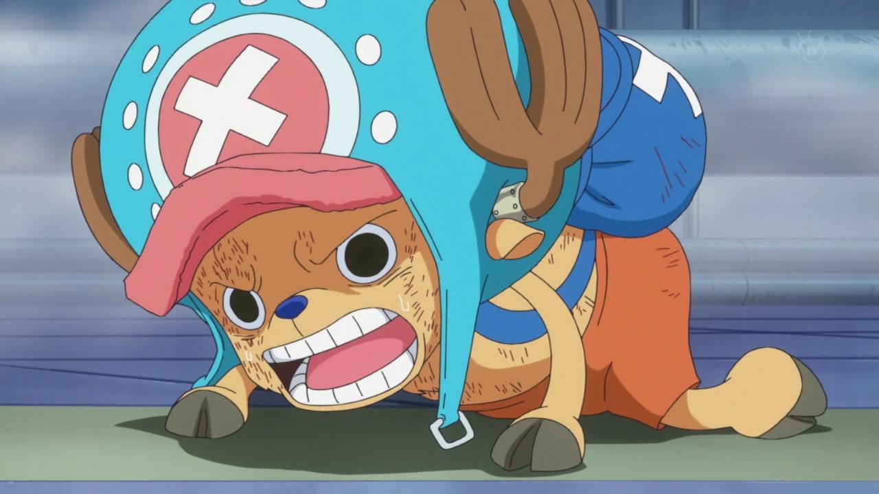 嘲笑のひよこ すすき 本日12月24日は One Piece の麦わらの一味 船医 トニートニー チョッパーの誕生日 おめでとう Onepiece ワンピース チョッパー生誕祭 チョッパー生誕祭14 12月24日はチョッパーの誕生日 Http T 嘲笑のひよこ すすき 本日12月24日は One Piece の麦わらの一味 船医 トニートニー チョッパーの誕生日 おめでとう Onepiece ワンピース チョッパー生誕祭 チョッパー生誕祭14 12月24日はチョッパーの誕生日 Http T