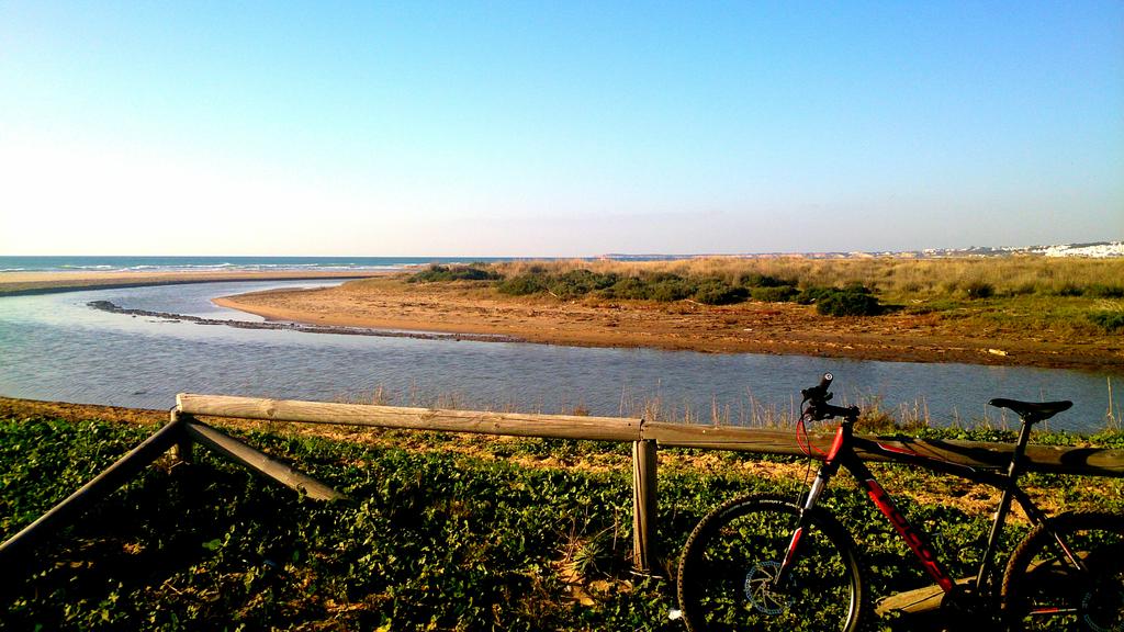 AntonioMarn1's tweet photo. Vueltecita! #Bici #Pensar #Palmar http://t.co/4I7QFv04aL