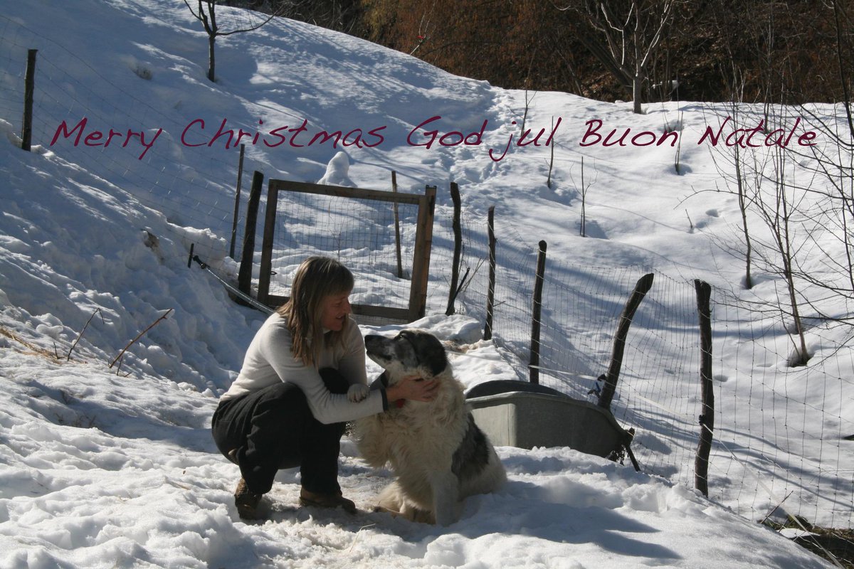 Buonnatale#godjul#merrychristmas