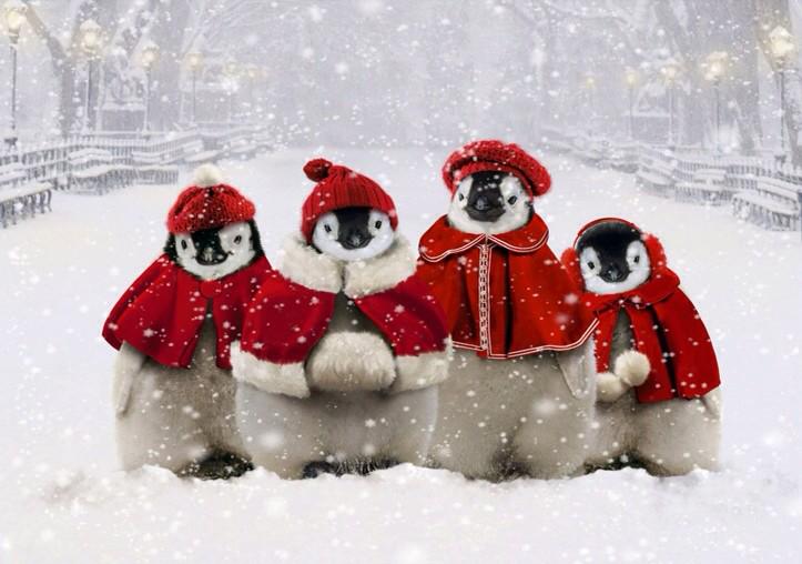 Focus on Dementia (@focusondementia) on Twitter photo Festive wishes & thanks #dementia partners <a href="/alzscot/">Alzheimer Scotland</a> @JITScotland <a href="/NHSScotQuest/">NHS Scotland QuEST</a> <a href="/scotgovhealth/">Scot Gov Health</a> <a href="/online_his/">Healthcare Improvement Scotland</a> <a href="/ScIL_NES/">The Scottish Improvement Leader (ScIL) programme</a> Festive wishes & thanks #dementia partners <a href="/alzscot/">Alzheimer Scotland</a> @JITScotland <a href="/NHSScotQuest/">NHS Scotland QuEST</a> <a href="/scotgovhealth/">Scot Gov Health</a> <a href="/online_his/">Healthcare Improvement Scotland</a> <a href="/ScIL_NES/">The Scottish Improvement Leader (ScIL) programme</a>
