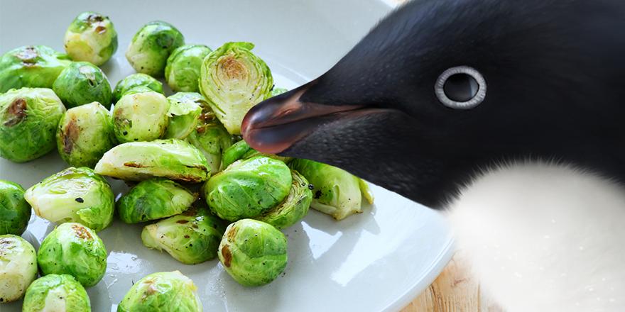 .<a href="/MontyThePenguin/">Monty The Penguin</a> Do we really have to do this one? #EarlyChristmas #MontyThePenguin