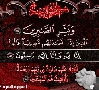 زمزم الراشدي (@2e9662ebd2af4b5) on Twitter photo 