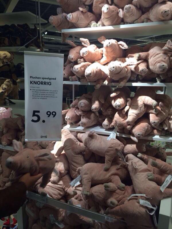 ProminentePik's tweet photo. Wat een kutknuffel.. http://t.co/NRIyV7aEfT
