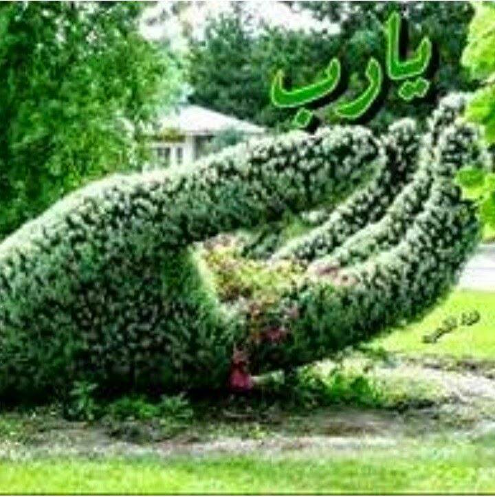 زمزم الراشدي (@2e9662ebd2af4b5) on Twitter photo 