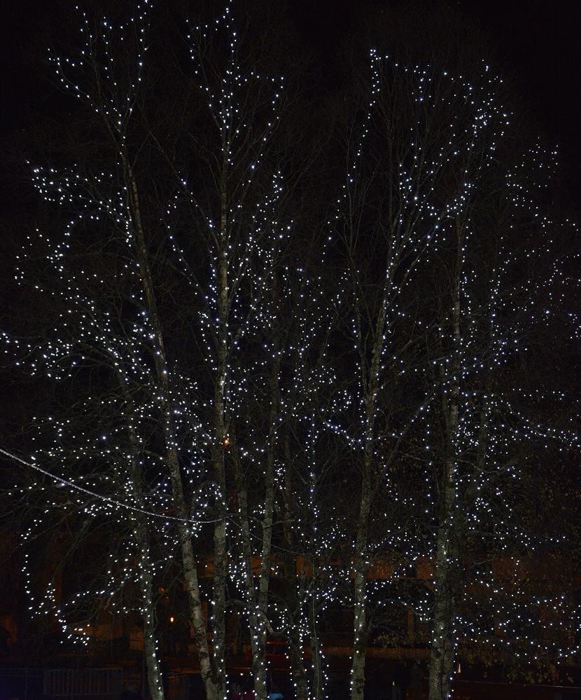 MemoryTre's tweet photo. The Killarney Memory Tree is lighting nightly until 10pm on New Road. Make sure to visit if you're in the area. http://t.co/Hvl9DzIOBb