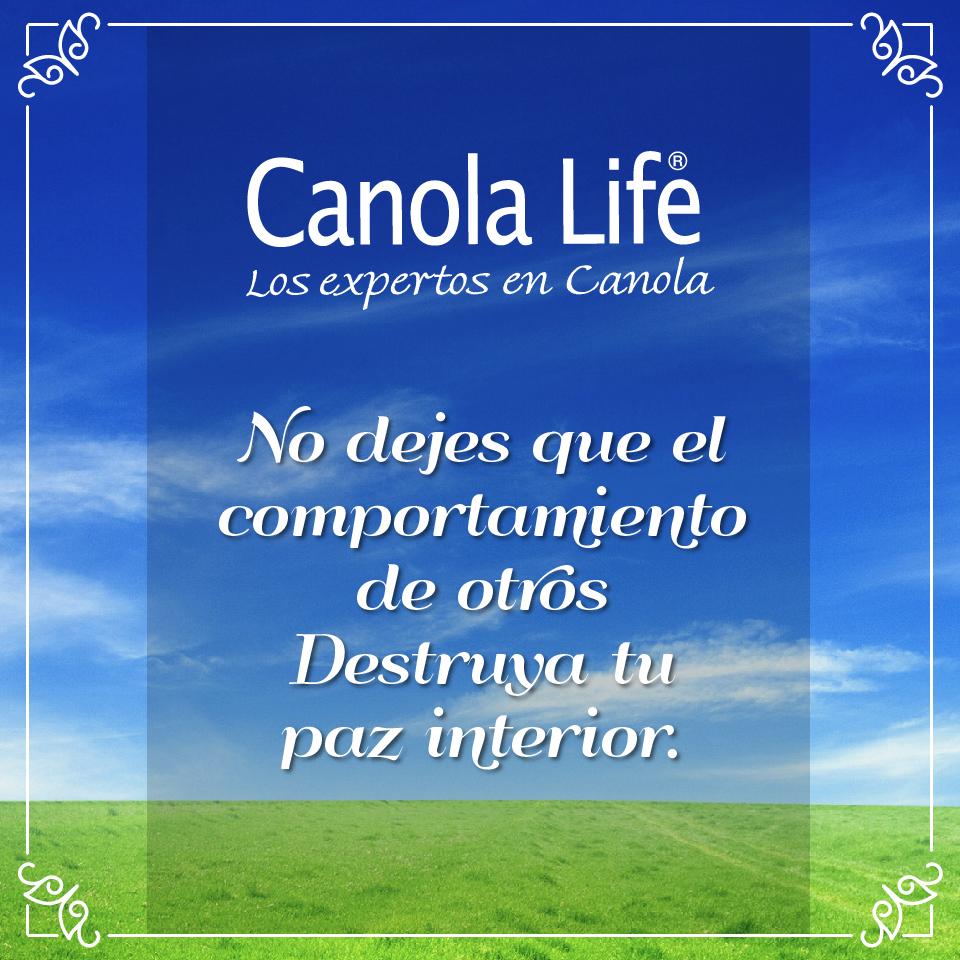 Canola Life tweet media