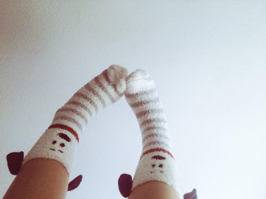Jessiicaesga's tweet photo. Buenas y perrunas noches❤️ http://t.co/vEkApjxYGU