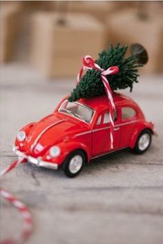 Arrendadora Avance (@aavance) on Twitter photo 