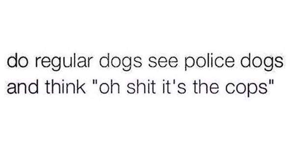 KushHumor's tweet image. 😂😂😂