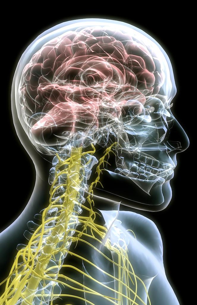 I'm looking forward to teaching how changing your brain can change your pain at #Parkervegas this year.