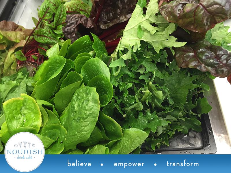 EdiblendCafe's tweet photo. Thank you @ScissortailFarm for the amazing samples!  Fresh &amp; Local never tasted so good! #BuyLocal #Tulsa http://t.co/qkgrHDvlr0