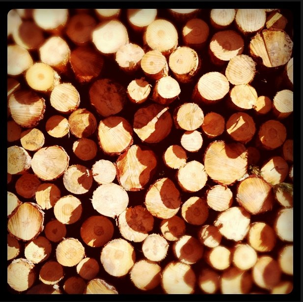 Images4Framing's tweet photo. Nice pic by @gonzalomanera #wood #photo #frame #homeframing check the whole collection here: http://t.co/EVBZslKp9c http://t.co/pS3kIEde1p