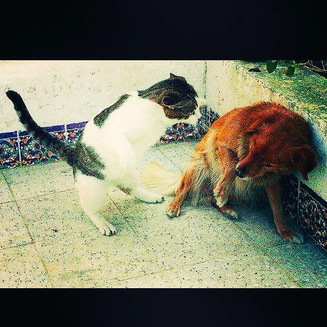 ElAytac's tweet photo. Hasta etme adamı http://t.co/f2XGEWp01r