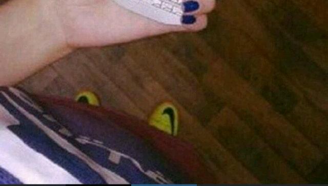 Mokk0202's tweet photo. أللف مبروك لي الهلال http://t.co/1EXFeTimr9