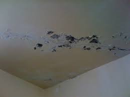 asweda281's tweet photo. يوجد لدينا معالجة تهريب المياة و مشاكل الااسطح بااحدث المعدات والمواد بدون تكسير حمامات مطابخ عزل اسطح 0552634216 http://t.co/nKTMylunJm