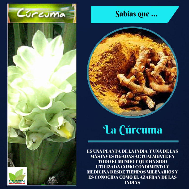 LuminAgro's tweet photo. Conoce el origen del mejor aliado de tu salud. http://t.co/oti04log68