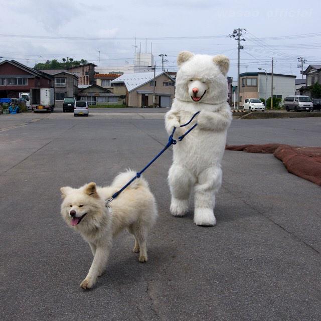 ベスト50 かわいい 面白い 画像 犬 全イラスト集