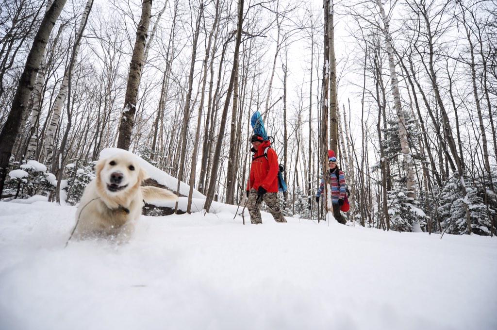 Burton Snowboards tweet media