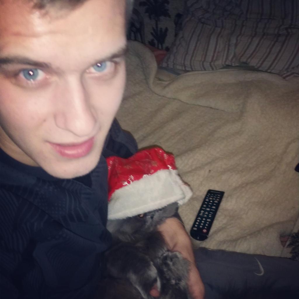 ernestoshylo's tweet photo. с наступающими праздничками 😺 #котики #шапка http://t.co/qn2jGfz1cF