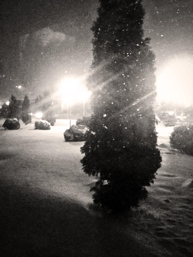 ElyaSafina's tweet image. #заберименядомой 😩