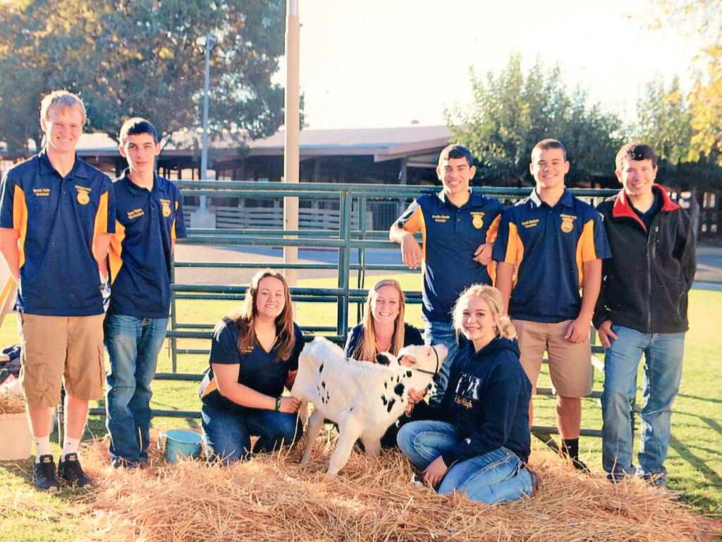 CactusQueen1999's tweet photo. Hilmar FFA Officer Team 2014💛💙 #Farm2You http://t.co/RaLLyGnM9P