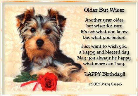  may your birthday be filled with sunshine &smiles,laughter,love & cheer Happy Birthday frm New Zealand 