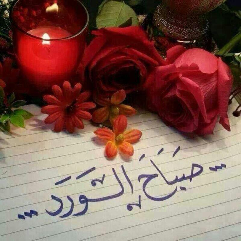 nonybbbbb's tweet photo. اجمل ما يقال كل صباح : اللهم أني وگلتك اامري فكن ليَ خير وكيل ودبر لي امري فإني لا احسن التدبير💖
صباح الورد🌼 http://t.co/mUBLEpRYWl