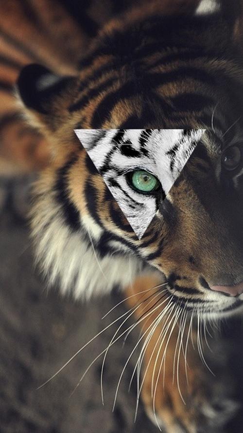 keylowPorter's tweet photo. http://t.co/4EpuHrIwY0