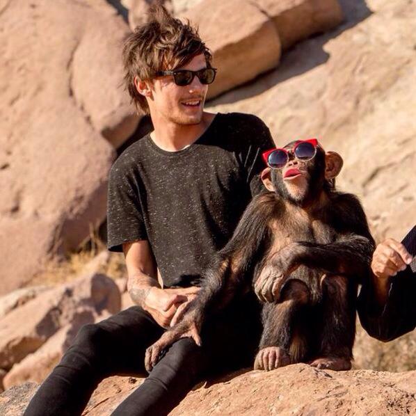 _Dionne97_'s tweet photo. #HappyBirthdayTommo http://t.co/ZTKPM1LMOO
