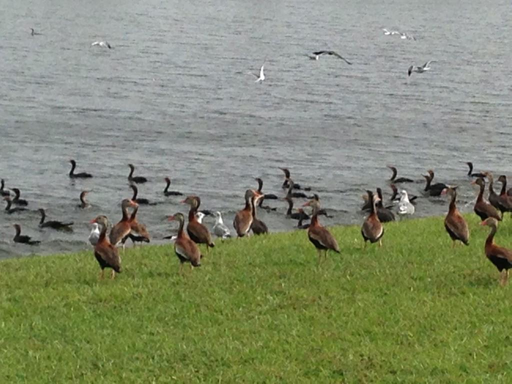 cmdonn's tweet image. #inkjason #InkMaster