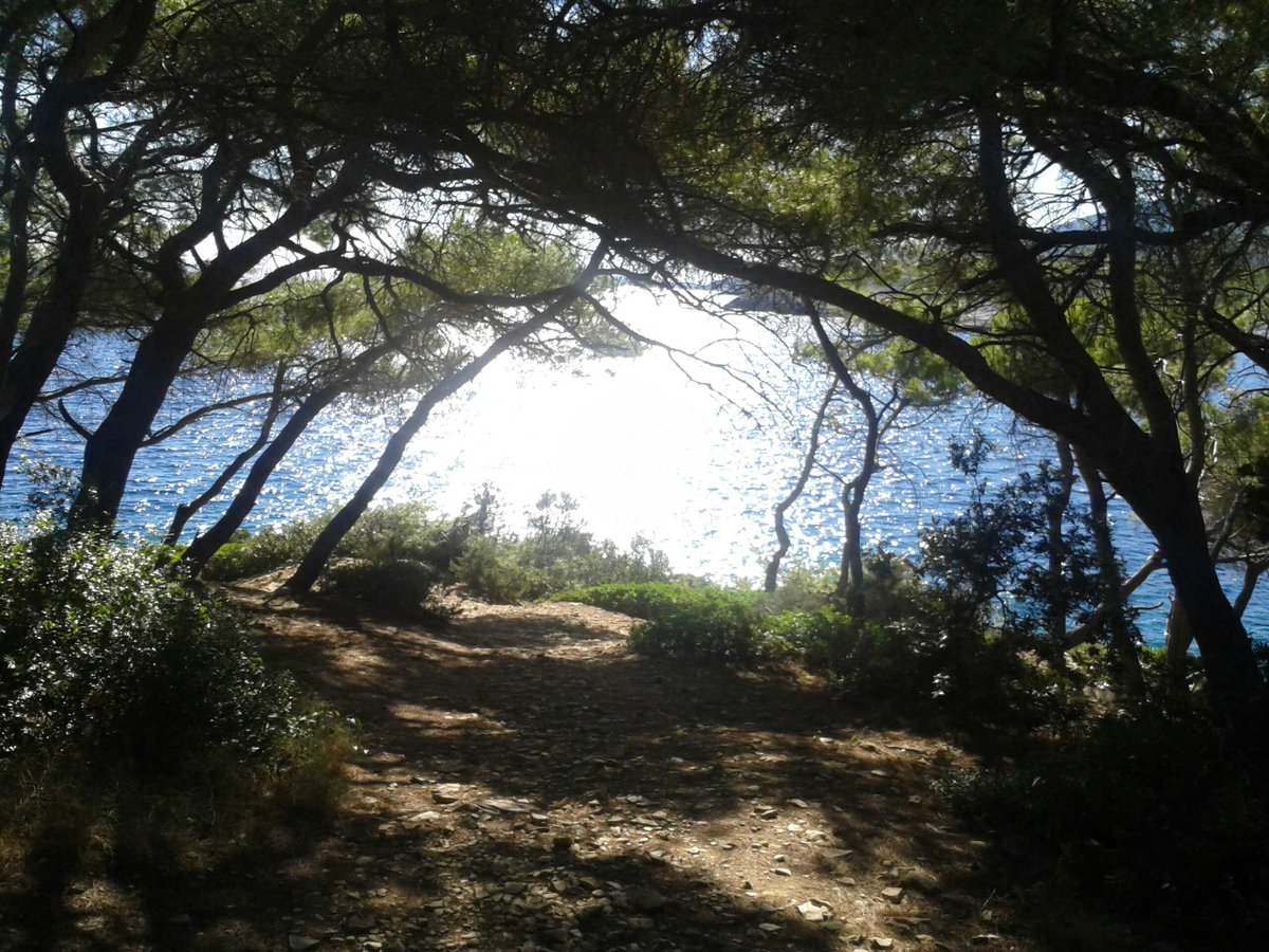 HelenaPuljiz's tweet photo. #dobrojutro sunčani ljudi :) http://t.co/ss8ZJHZRKH